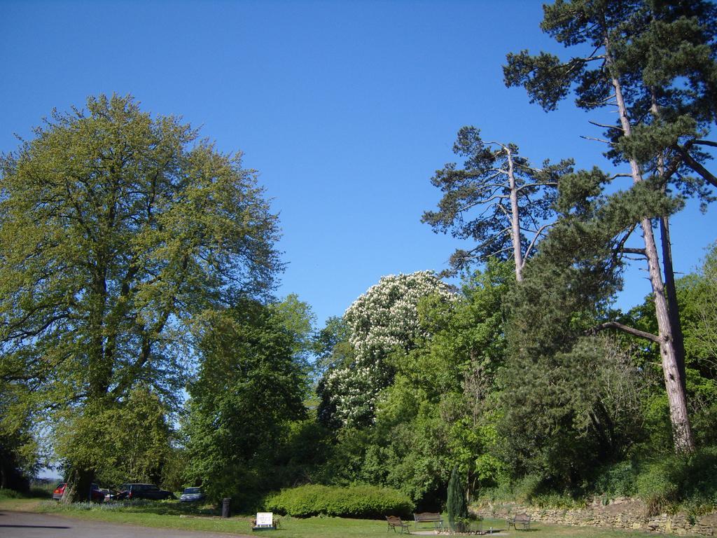 Cleeve House Bed and Breakfast Melksham Camera foto